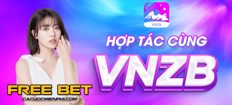 vnzb-live-2